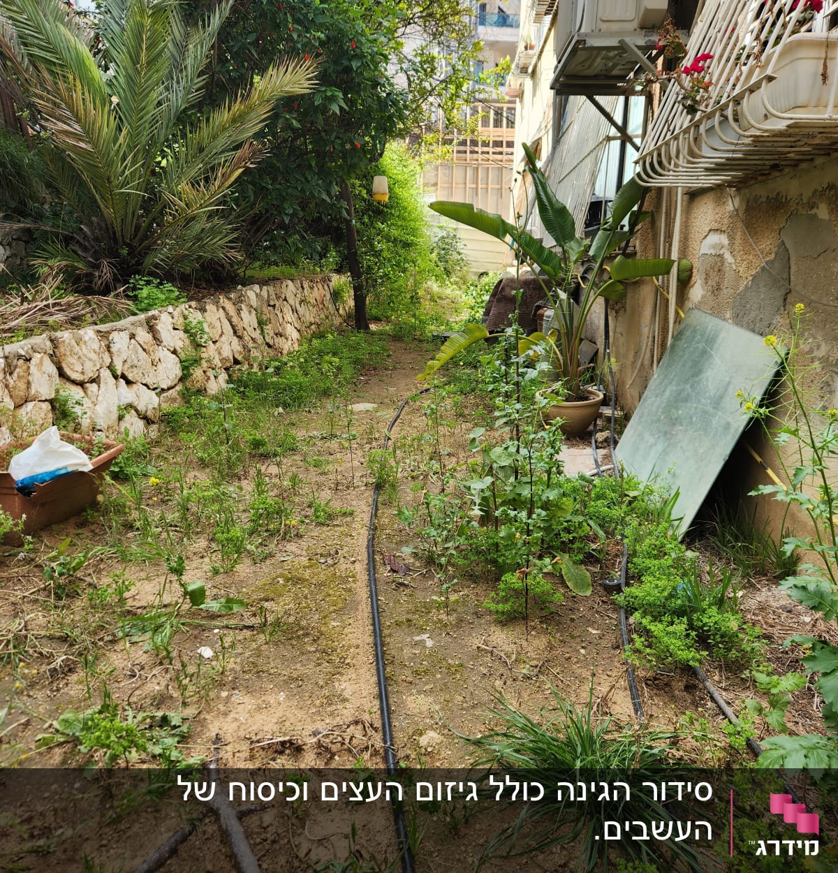 צינורות השקיה בגינה עם צמחים ועציצים